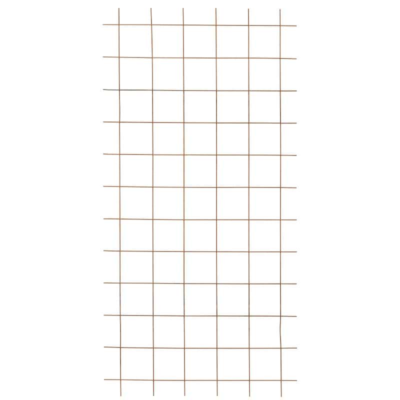 Rionet rust - espalier 