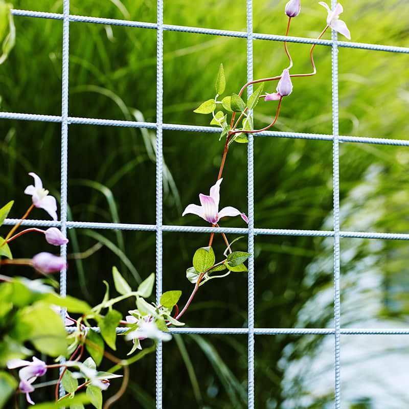 Espalier Stal
