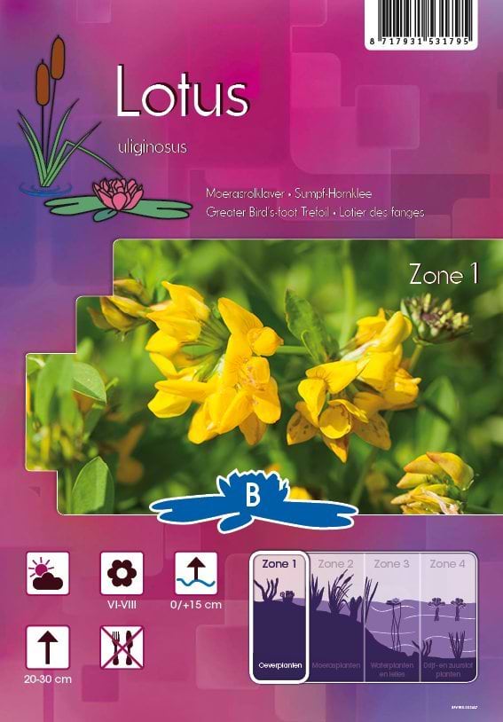 Lotus uliginosus