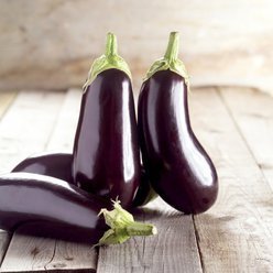 Øko Aubergine 'Roma'