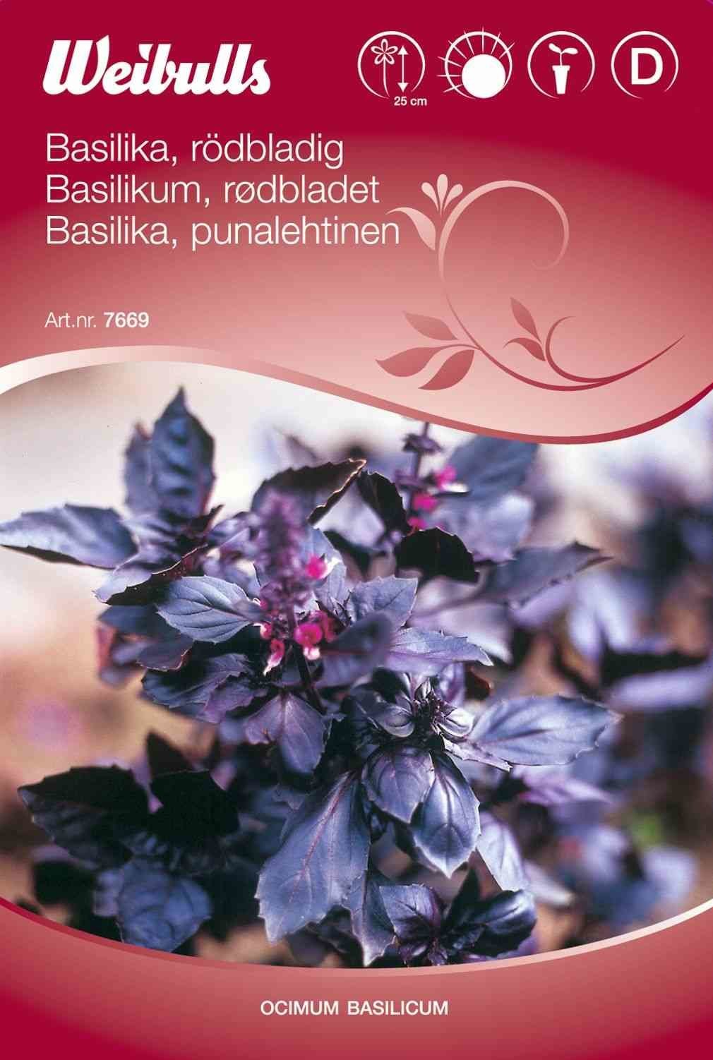 Basilikumfrø (Basilikum Rødbladet)