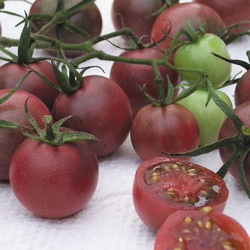 black cherry
