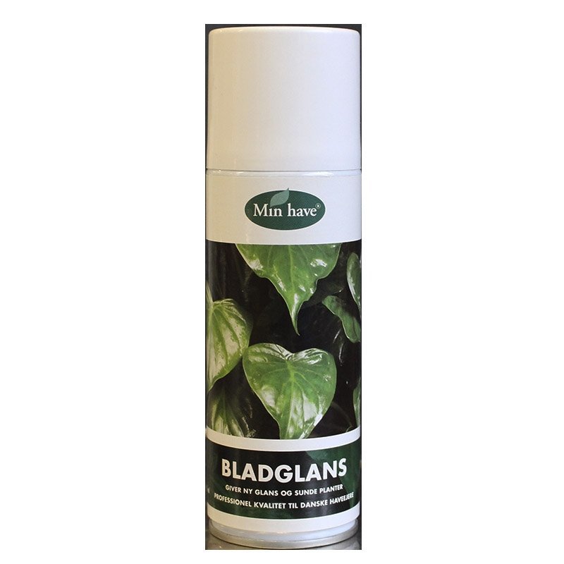 bladglans til potteplanter