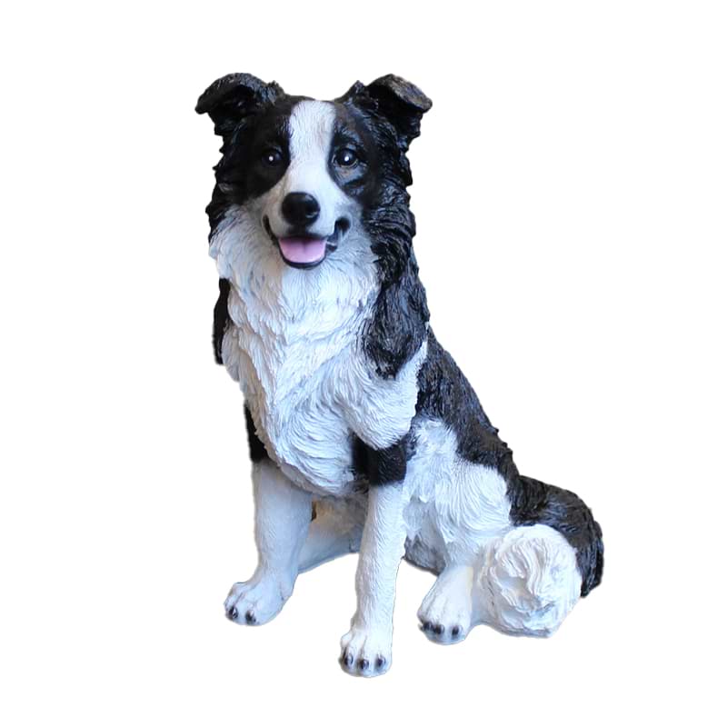 Border Collie - Sort/hvid - H53 cm