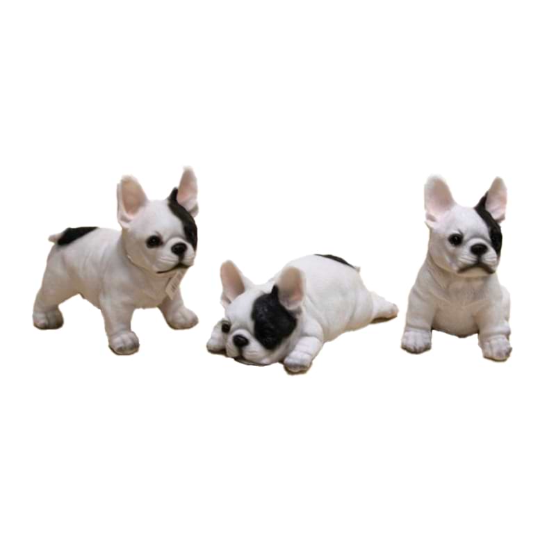 Fransk bulldog - Hvid med pletter - Stående