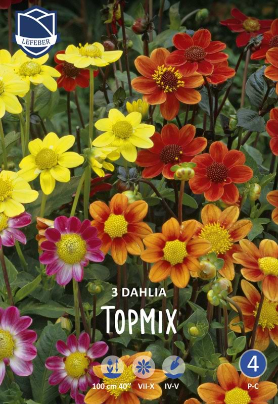 dahia topmix