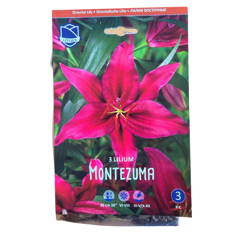 Liljeløg Montezuma
