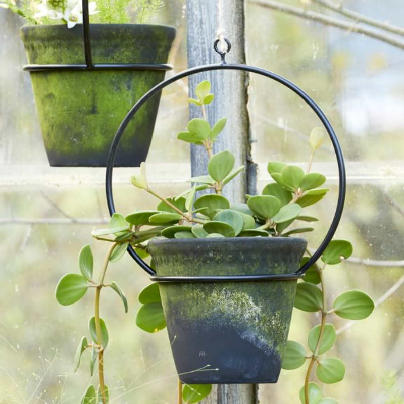 Planteophæng