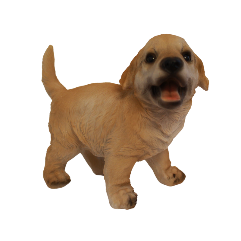 Labrador hvalp som står op