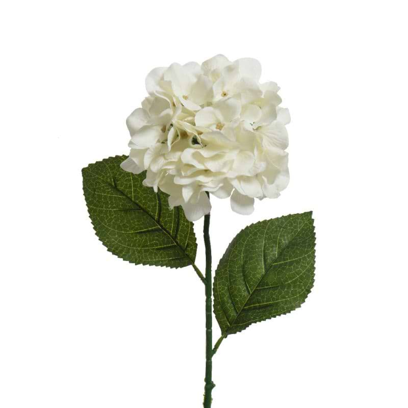Hortensia på stilk