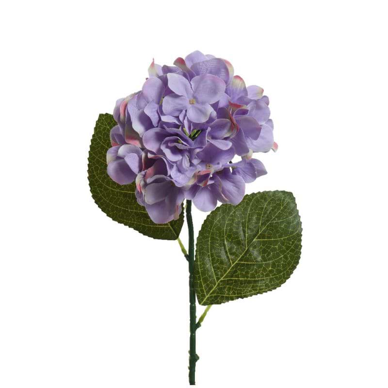 Hortensia på stilk