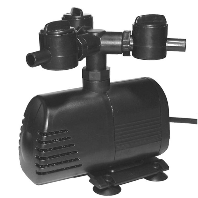 aq 2000