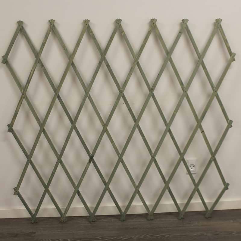 Espalier træ