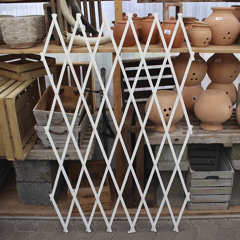 hvidt espalier i træ