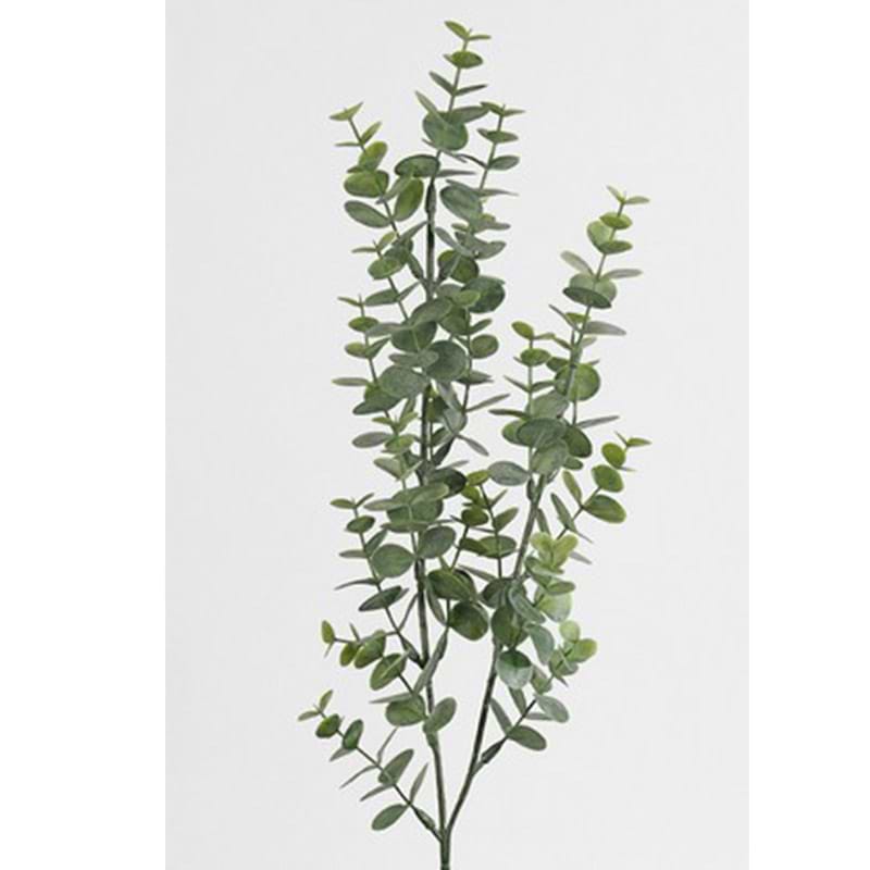 Eucalyptus Gren Grøn