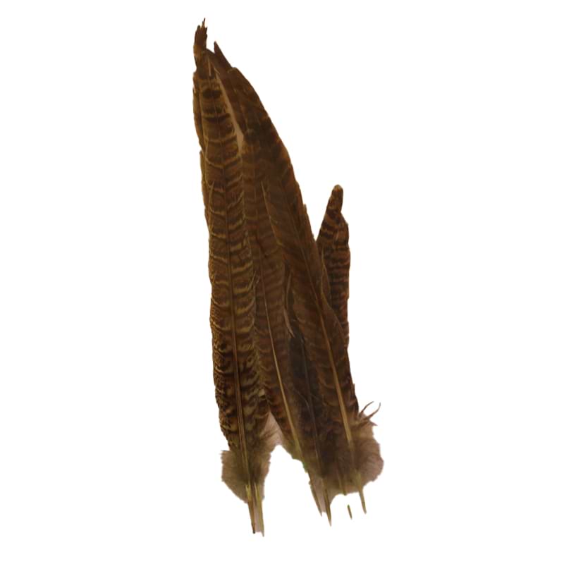 Lange, brune fjer