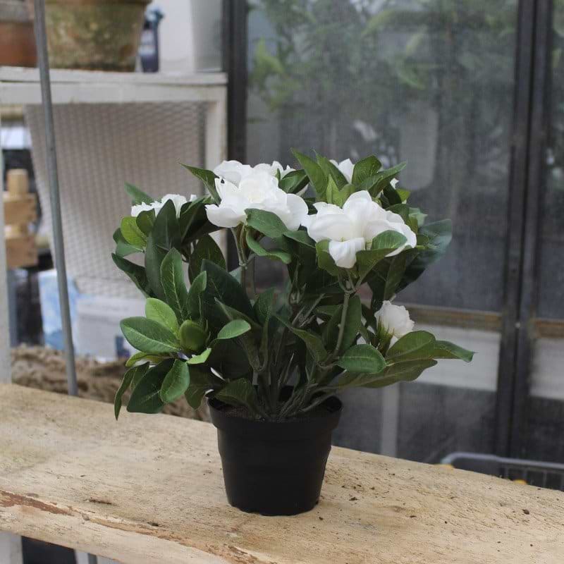 kunstig gardenia