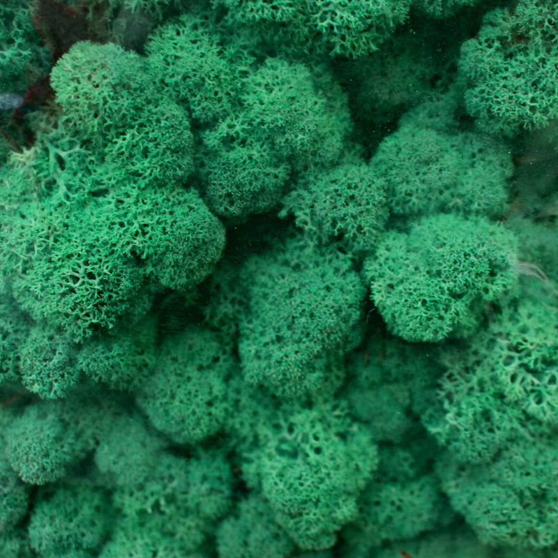 grass green 