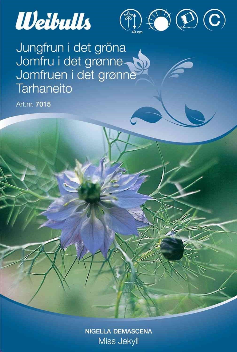 Blomsterfrø (Jomfru i det grønne 'Miss Jekyll')