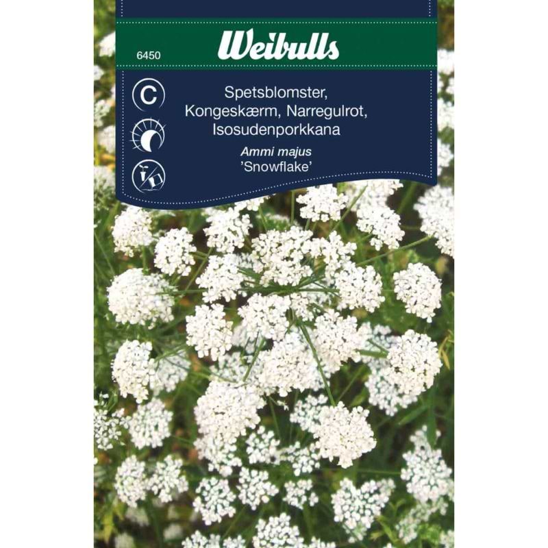 Kongeskærm Snowflake