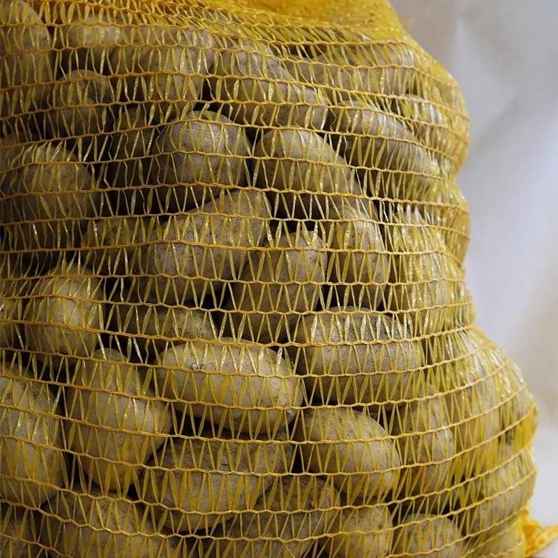 læggekartoffel 'twister'