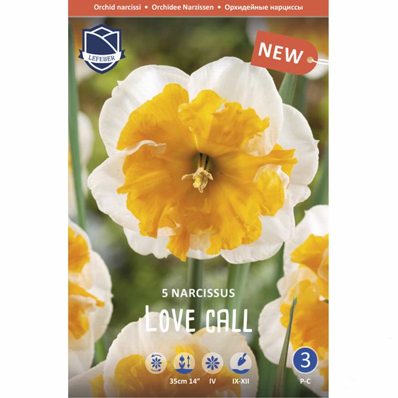 Påskeliljeløg Love call