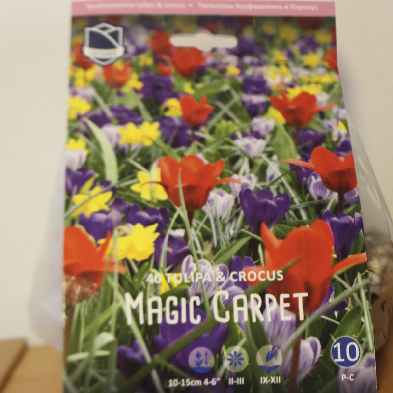 Magic carpet