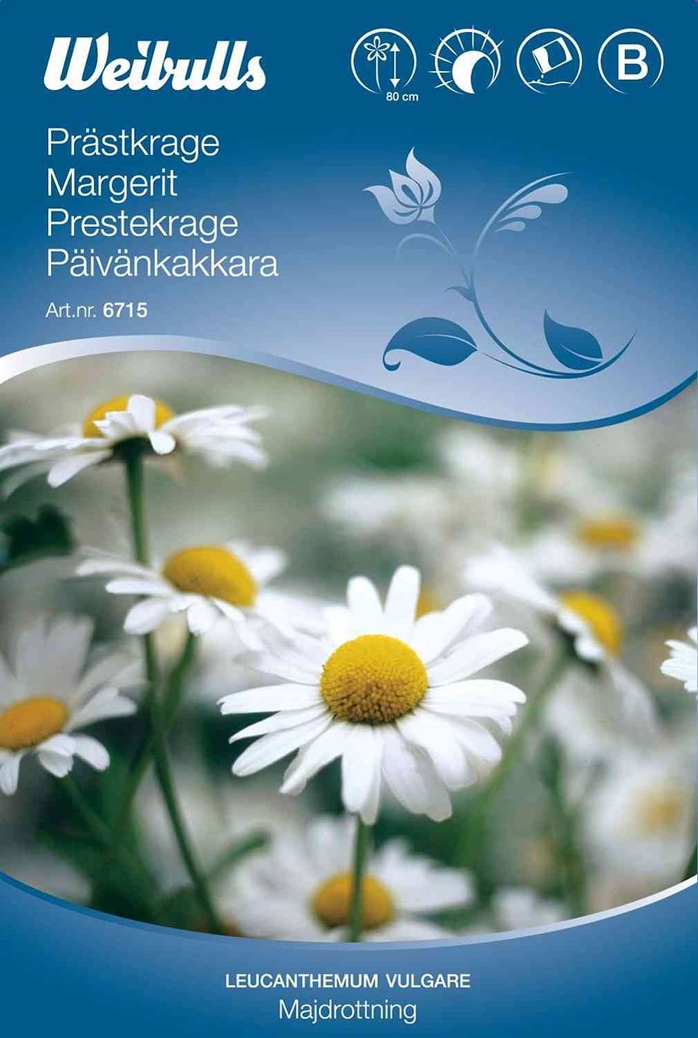 Blomsterfrø (Marguerit 'Majdrottning')