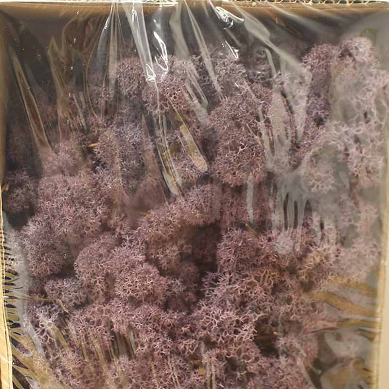 Dekorations mos - Aubergine