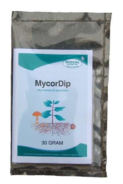 MycorDip Mycorrhiza - Nummer 2003
