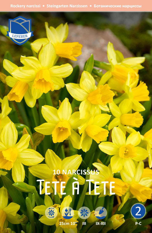 Tete a tete