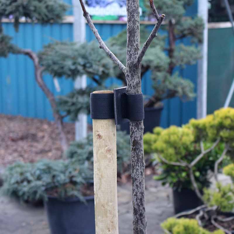 Komplet opbindingspakke 220 cm stolpe