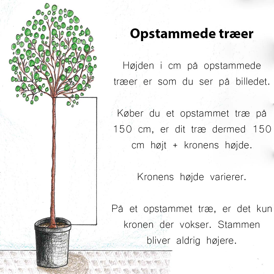 Hvad er opstammet?