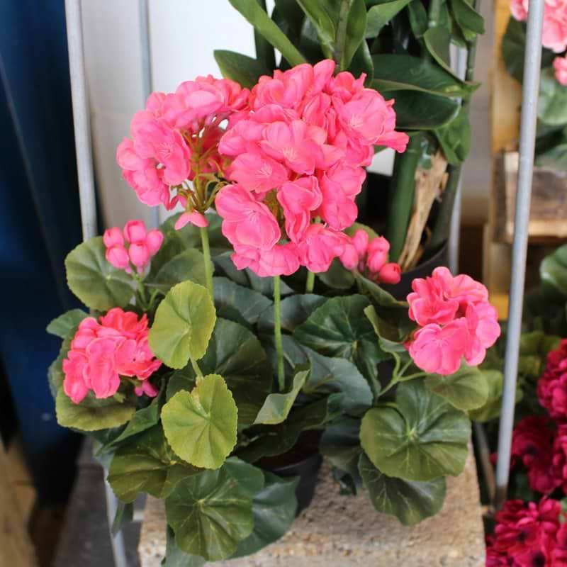 Pelargonie Pink Kunstig - 35 cm