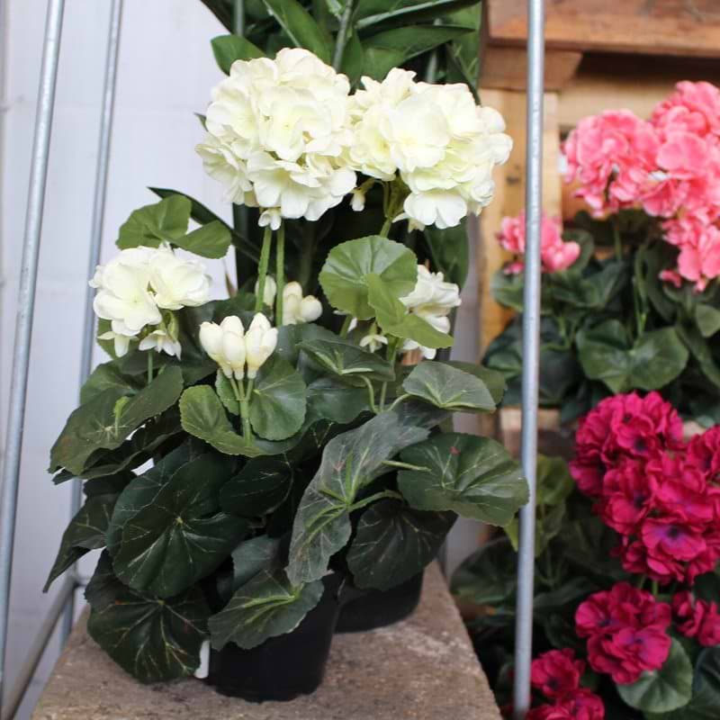 Pelargonie Hvid Kunstig - 35 cm