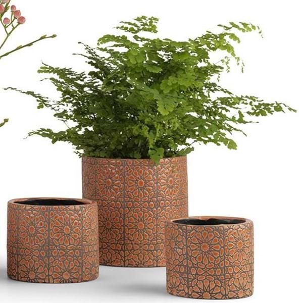 Skjuler Rød Brun Blomstret Mønster