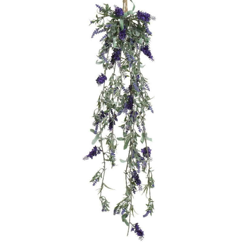 hængende mørklilla lavendel