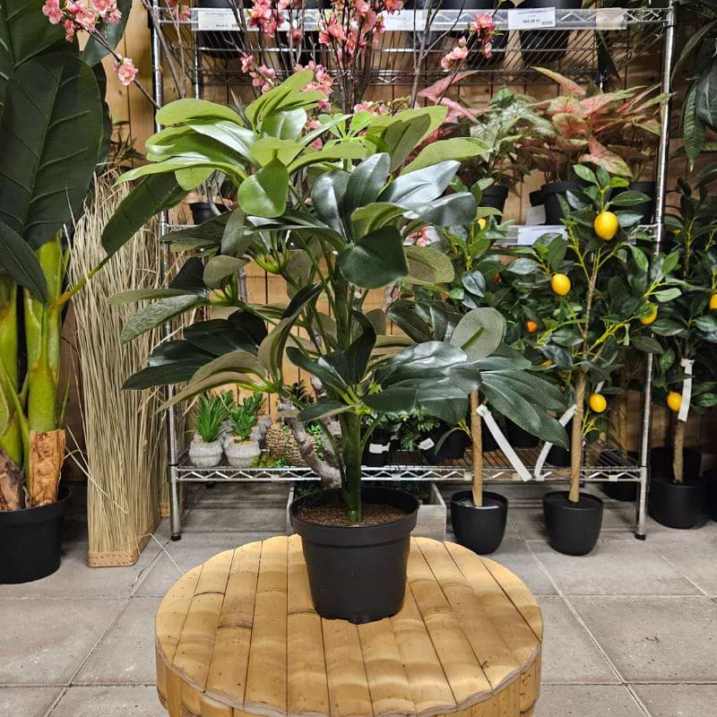 Kunstig Schefflera paraplytræ