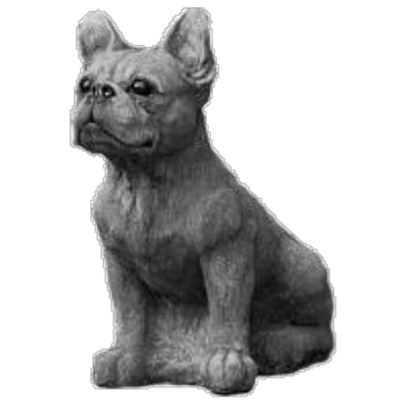 Bostonterrier - betonfigur - 50 cm
