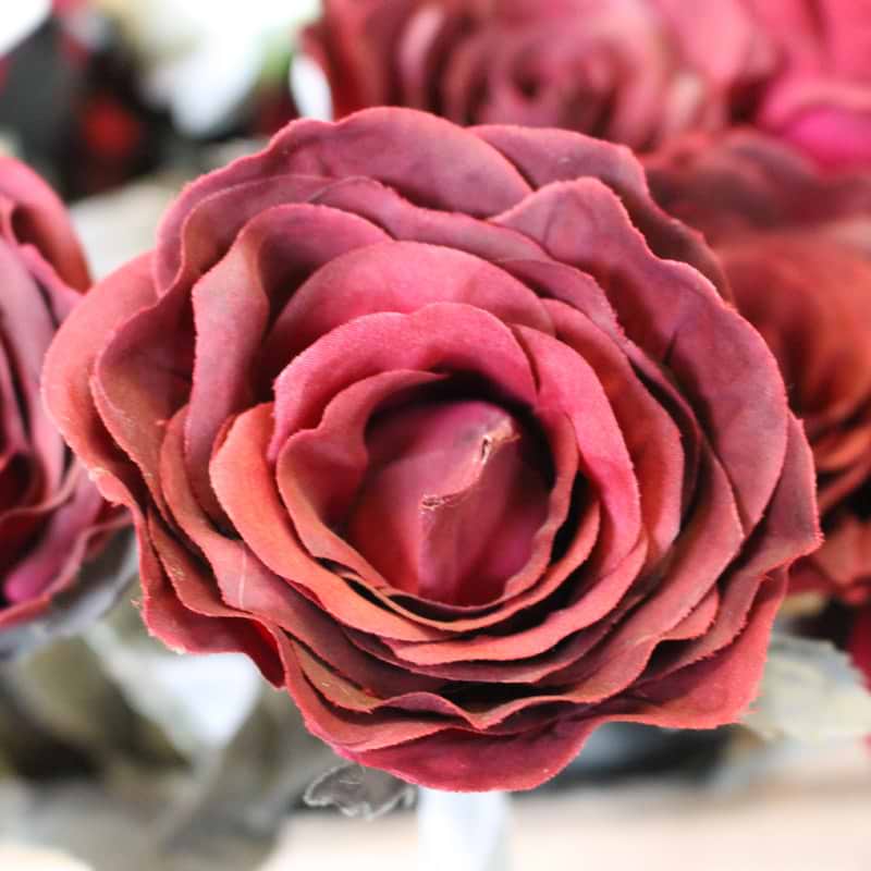 Rose (Silkeblomst)
