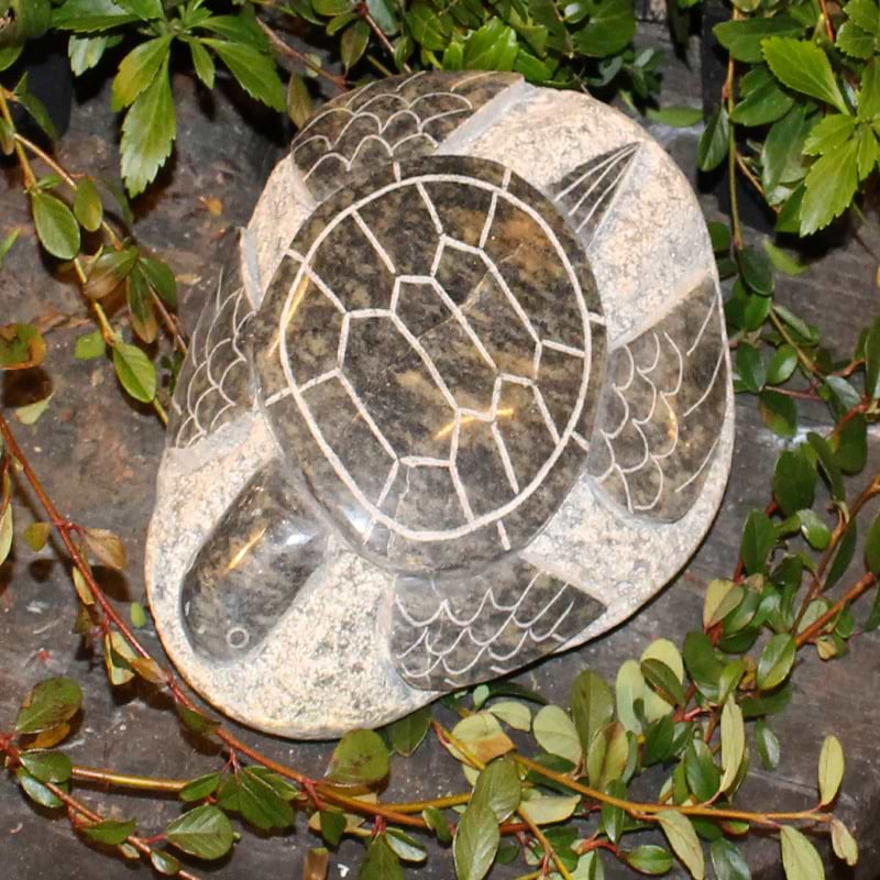 Motivsten skildpadde 