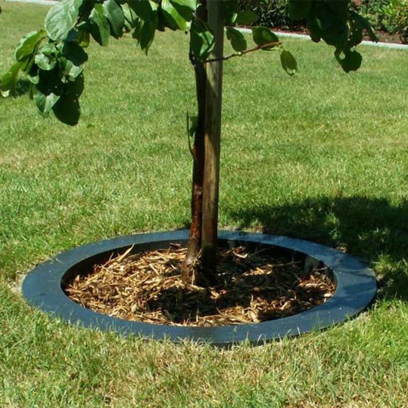 plantering til træer