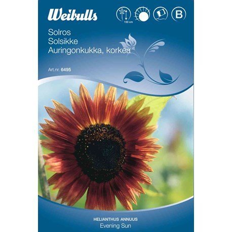 Blomsterfrø (Solsikke 'Enening Sun')