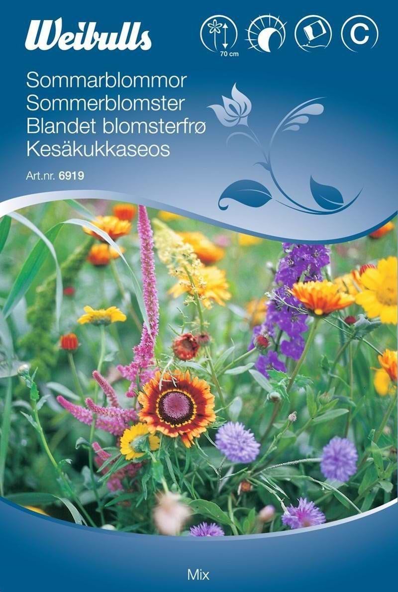 Blomsterfrø (Sommerblomster 'Mix')