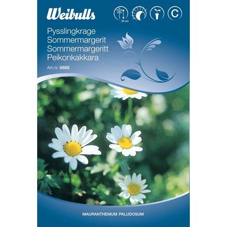 Blomsterfrø (Sommermarguerit)