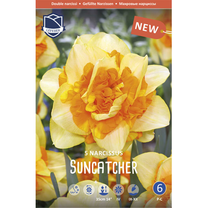 Narcissus Suncatcher