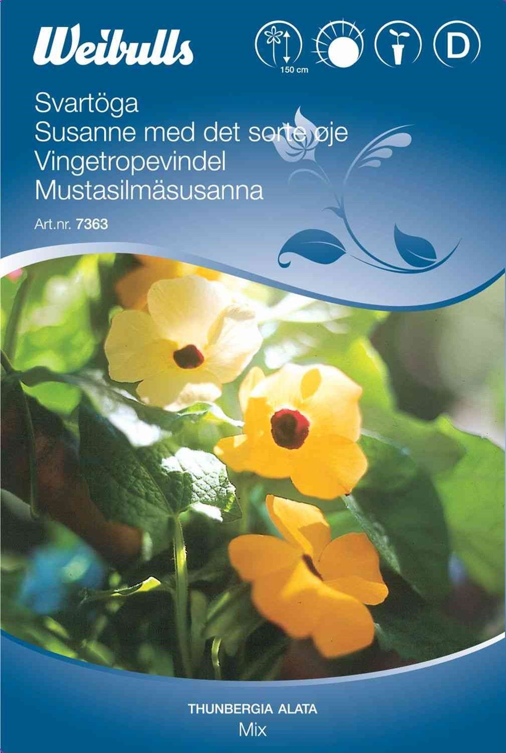 Blomsterfrø (Susanne med det sorte øje 'Mix')