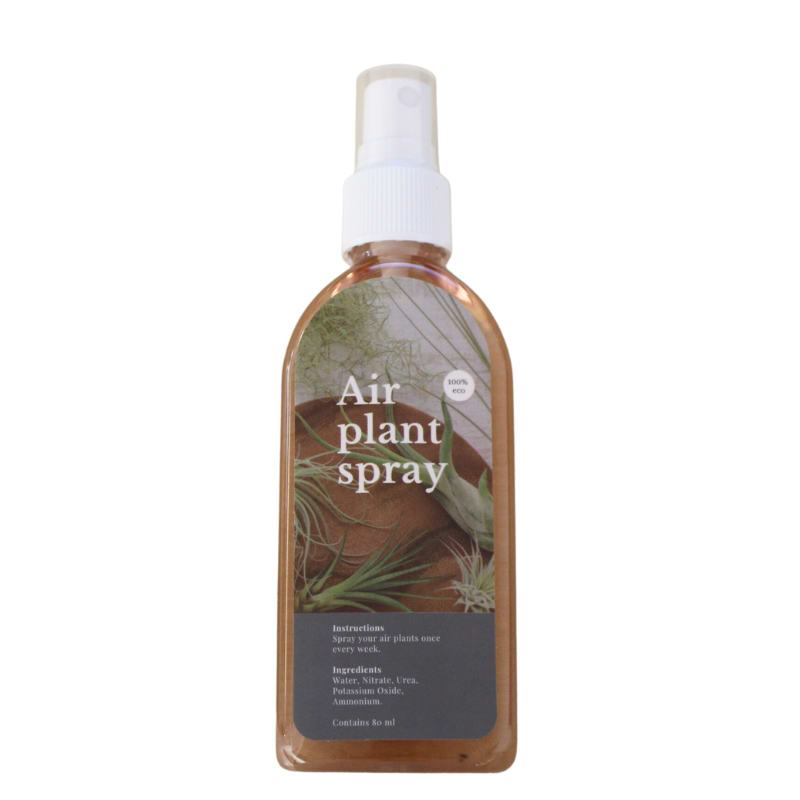 tillandsia luftspray