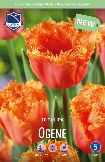 ogene