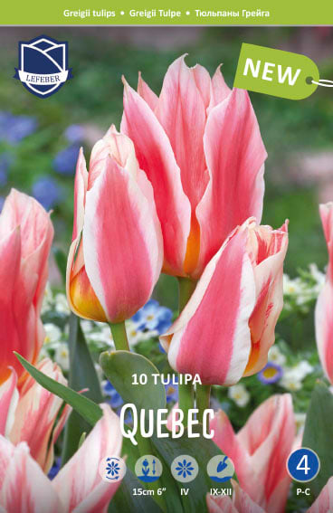 quebec